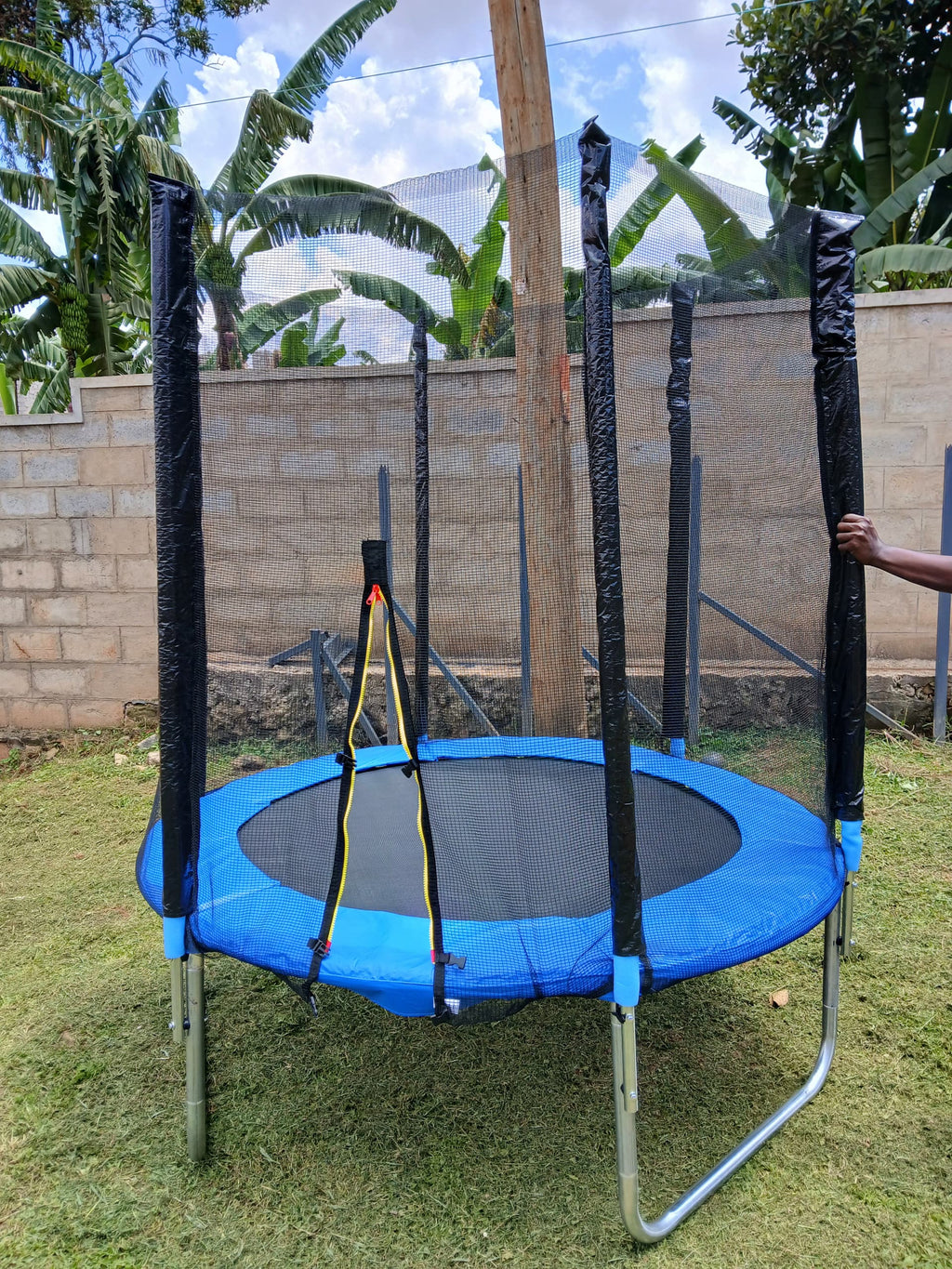 6FT Jumping Trampoline with Enclosure | Round Kids Trampoline