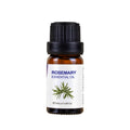 Rosemary Essential Oil – 10ml Pure Extract for Skin & Aromatherapy Care