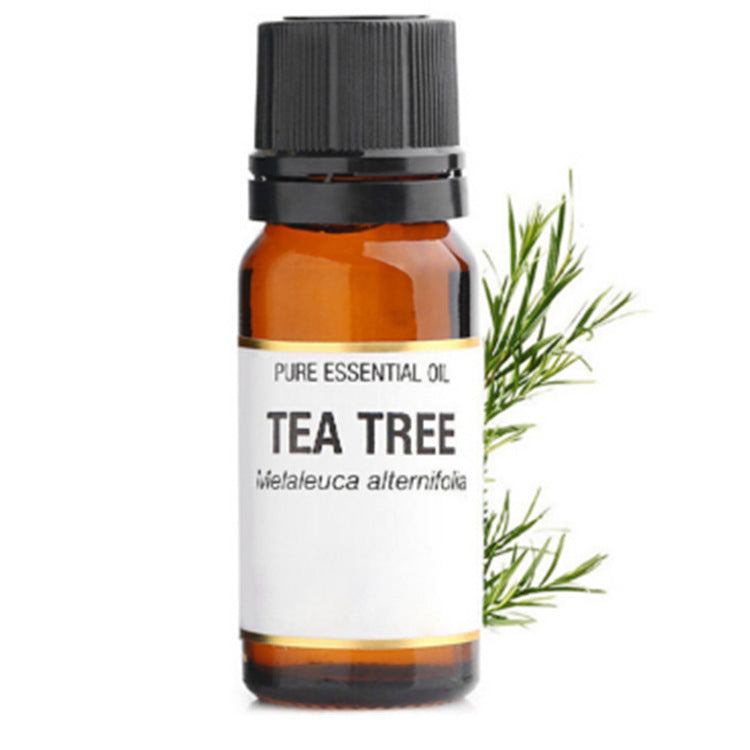 Tea Tree Essential Oil – 10ml