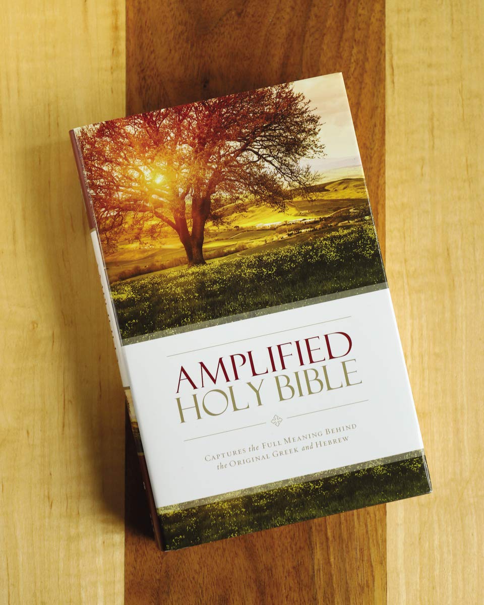 Amplified Bible Large Print Edition | Updated Version with Enhanced Understanding | 12-Point Type, Ribbon Marker, Presentation Page | Easy-to-Read Study Bible