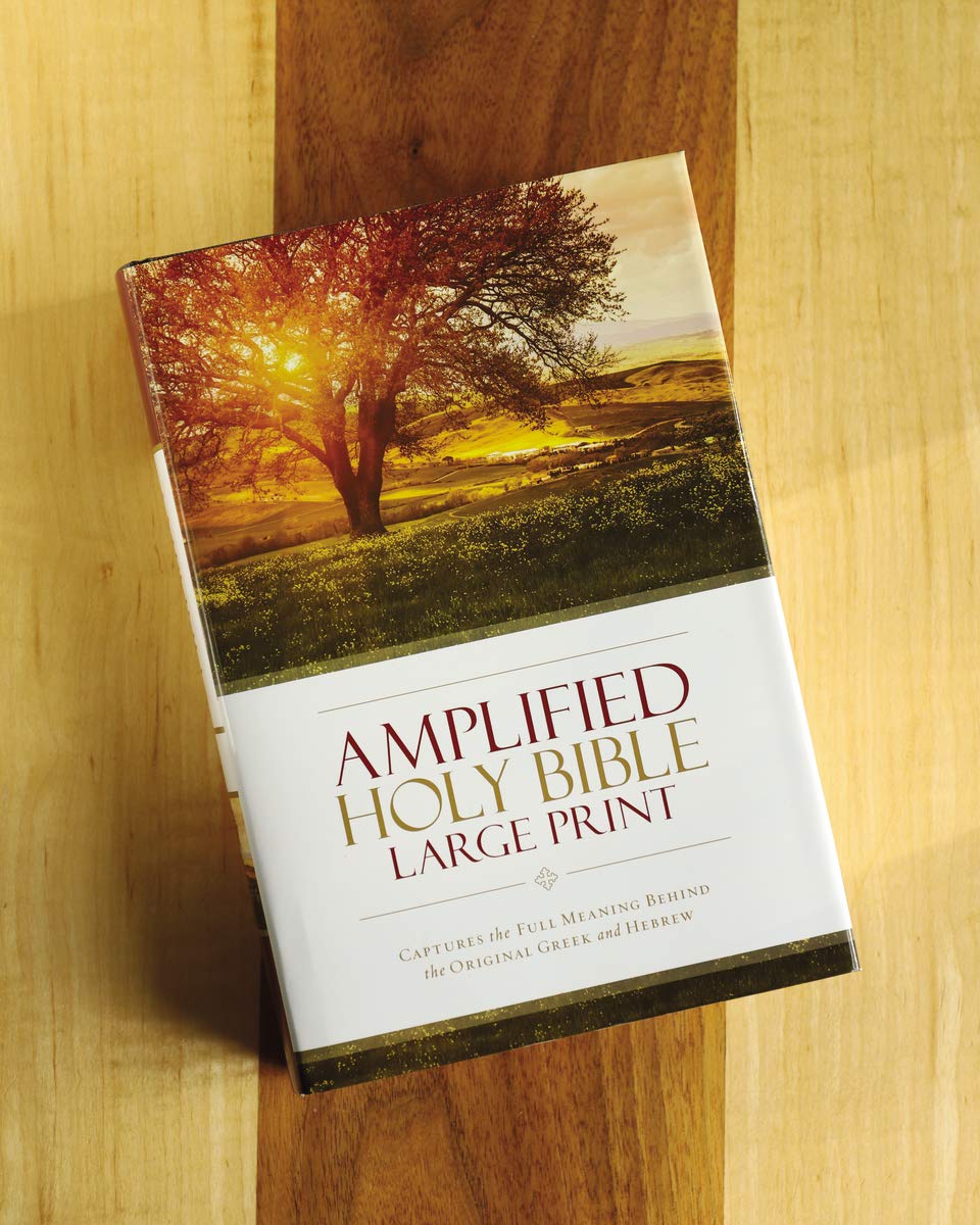 Amplified Bible Large Print Edition | Updated Version with Enhanced Understanding | 12-Point Type, Ribbon Marker, Presentation Page | Easy-to-Read Study Bible
