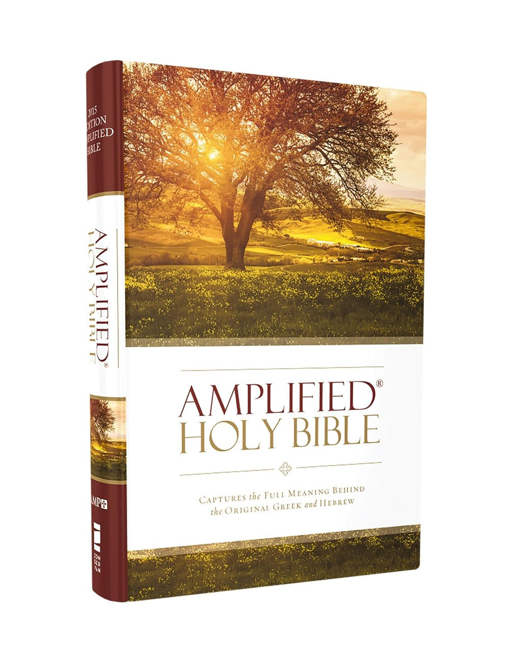 Amplified Bible Large Print Edition | Updated Version with Enhanced Understanding | 12-Point Type, Ribbon Marker, Presentation Page | Easy-to-Read Study Bible