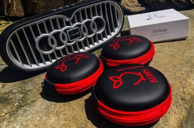 BOOM BERRY Wired Earphones – Hi-Res Audio, Noise-Isolating, Built-In Mic & In-Line Controls