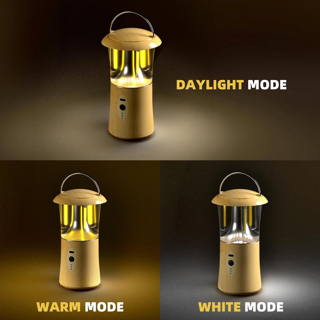 Camping Lantern for Power Outages - White/Warm White Light