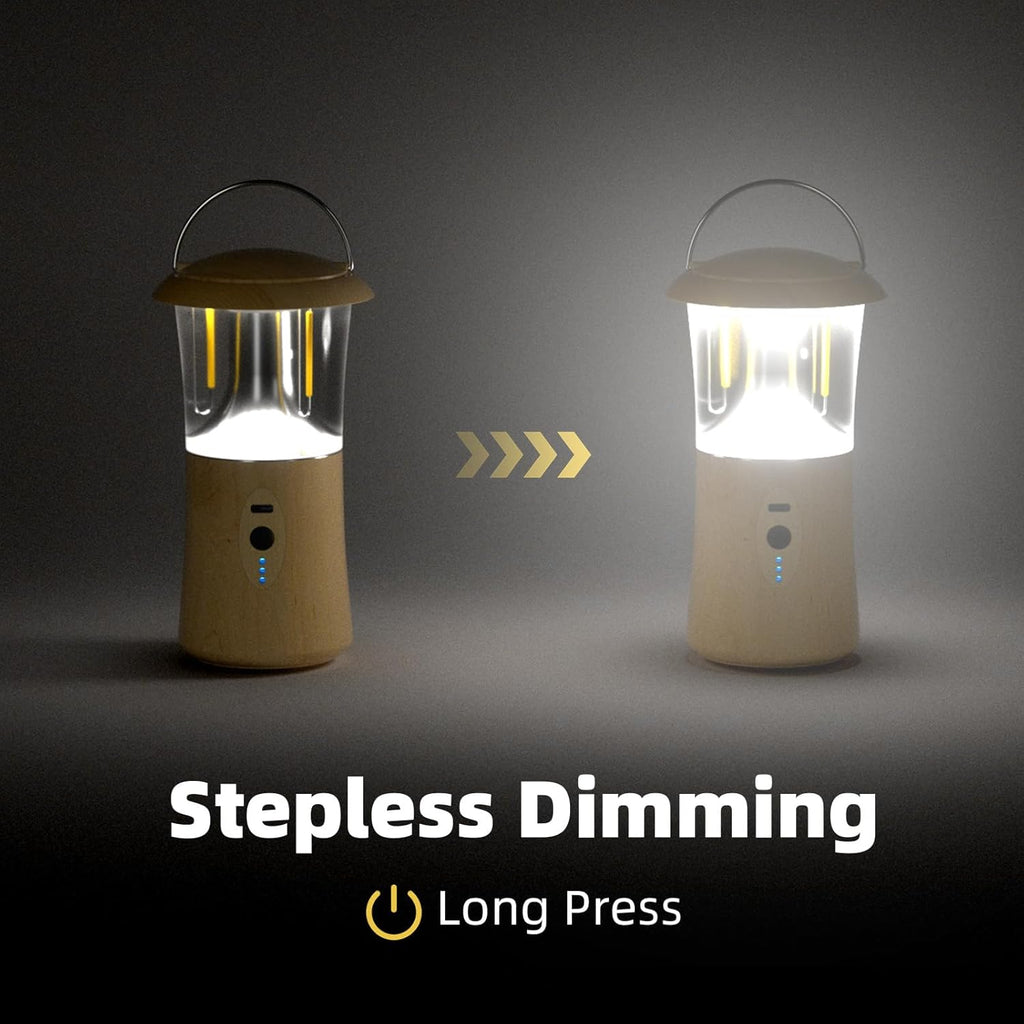 Camping Lantern for Power Outages - White/Warm White Light