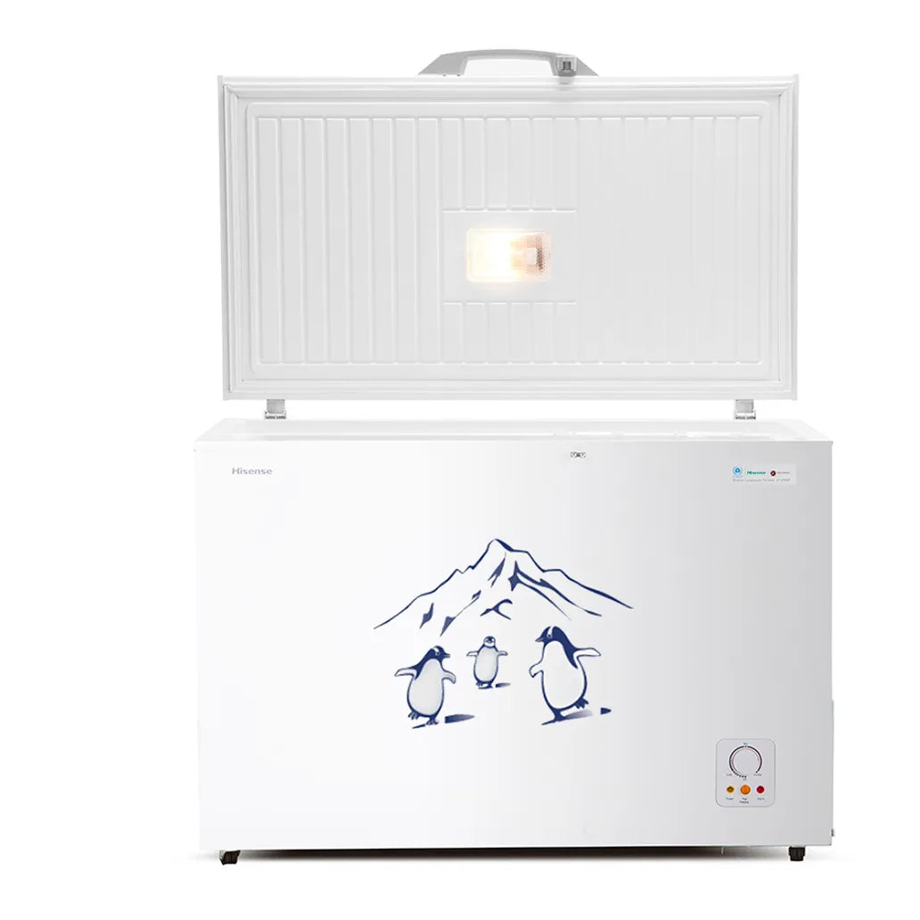 Hisense 310L Chest Freezer | FC-31DD4SA (Grey/White)