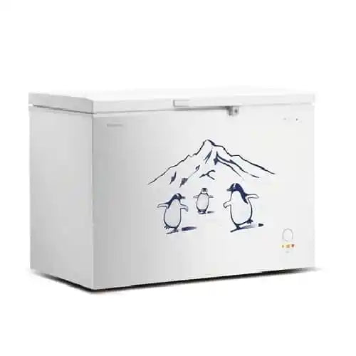 Hisense 400L Commercial-Grade Chest Freezer-Grey & White | FC-40DT4SB1