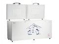 Hisense 660L A++ Double Door Chest Freezer | FC-66DT4SA (Silver)