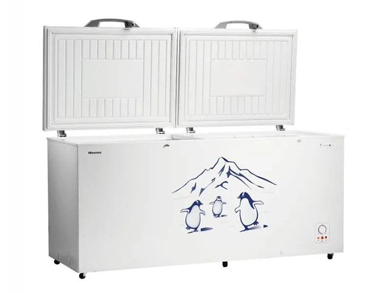 Hisense 660L A++ Double Door Chest Freezer | FC-66DT4SA (Silver)
