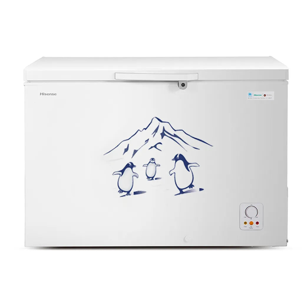 Hisense 310L Chest Freezer | FC-31DD4SA (Grey/White)