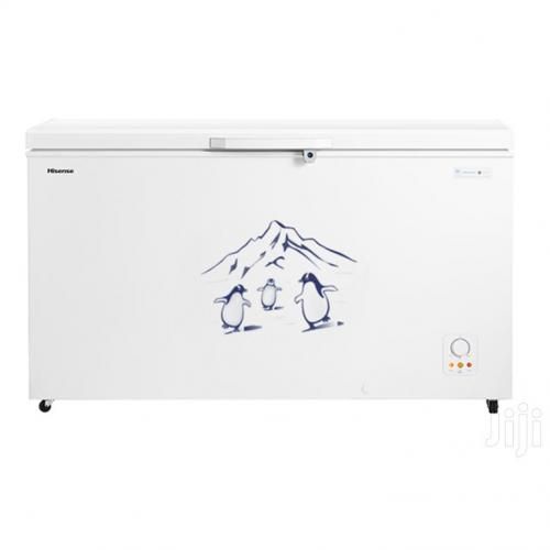 Hisense 310L Chest Freezer | FC-31DD4SA (Grey/White)