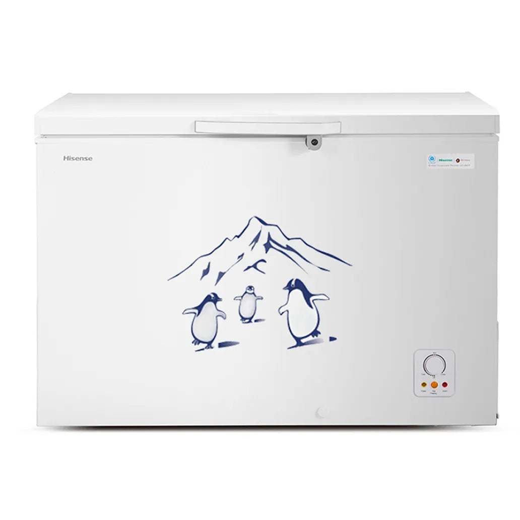 Hisense 400L Commercial-Grade Chest Freezer-Grey & White | FC-40DT4SB1