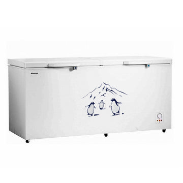 Hisense 660L A++ Double Door Chest Freezer | FC-66DT4SA (Silver)