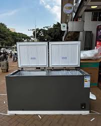Hisense 660L A++ Double Door Chest Freezer | FC-66DT4SA (Grey)