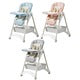 Foldable High Chair for Babies 6+ Months | 4 Recline Positions, Adjustable Height & Tray | 5-Point Belt, Lockable Wheels, Storage (Faded Gray)